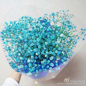 我是否还该想起他