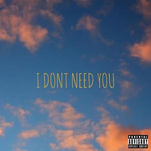 i dont need you (Explicit)