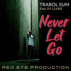 Never Let Go(feat. DJ Liamz)