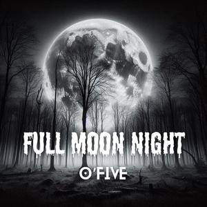 full moon night (feat. pure.)