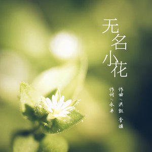 无名小花