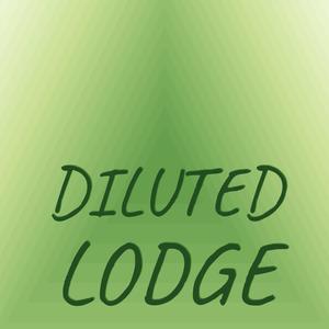 Diluted Lodge