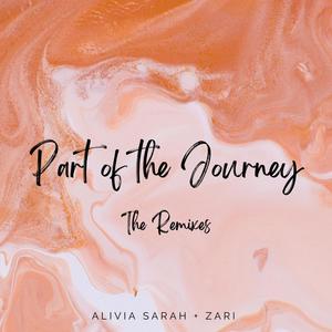 Part of the Journey (feat. Zari) The Remixes