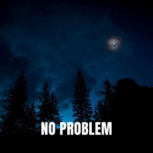 No Problem