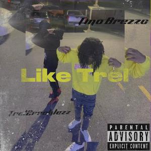 Like Trel (feat. Tmo Breezo) [Explicit]