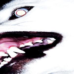 Real Life (feat. Carbike)