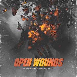 OPEN WOUNDS (feat. Crown & LIT YAE) (Explicit)