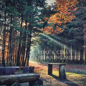 Pure & Clean Relaxing Music