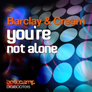 You're Not Alone (Alexander Metzger Beach Cut Mix)