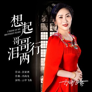 想起哥哥泪两行 (DJ版)