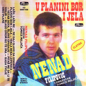 U Planini Bor I Jela