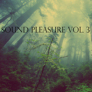 Sound Pleasure, Vol. 3