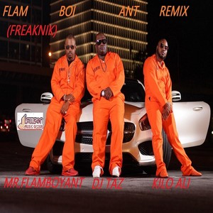 Flam Boi Ant (Freaknik) [Remix] [feat. Kilo Ali & DJ Taz]