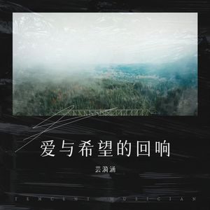 爱与希望的回响封面