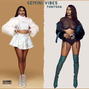 Gemini Vibes (Explicit)