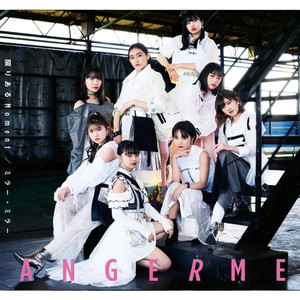 アンジュルム - 限りあるMoment