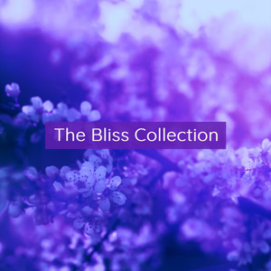 The Bliss Collection: Peaceful Music to Complete the Sleep Cycle