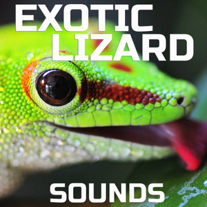 Exotic Lizard Sounds