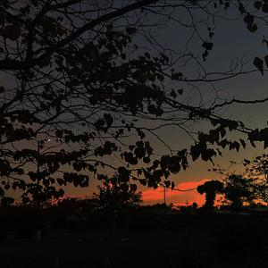 nonverbal (Explicit)