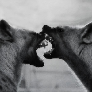 Quem Dá Costas É Presa (Explicit)