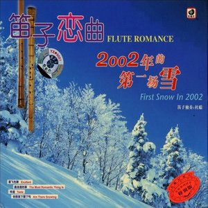 2002年的第一场雪