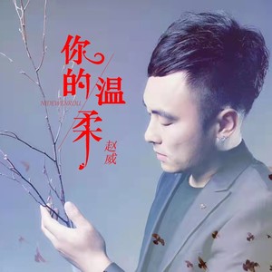 你的温柔