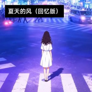 夏天的风 (回忆版)封面