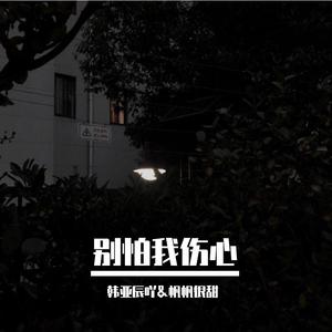 温柔只给意中人