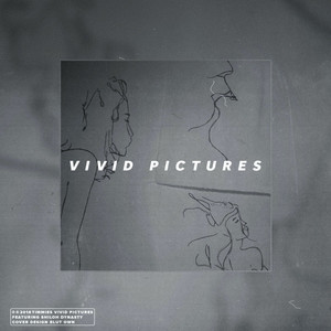 Vivid Pictures