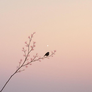 你伤害了我还一笑而过 (R&B版)