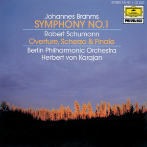 Symphony No. 1 In C Minor, Op. 68 - Brahms: Symphony No. 1 In C Minor, Op. 68 - IV. Adagio - Piu andante - Allegro non troppo, ma con brio - Piu allegro