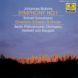 Symphony No. 1 In C Minor, Op. 68 - Brahms: Symphony No. 1 In C Minor, Op. 68 - IV. Adagio - Piu andante - Allegro non troppo, ma con brio - Piu allegro