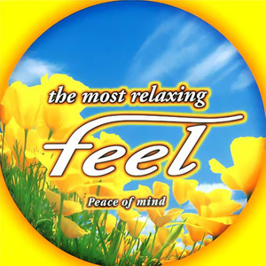 The Most Relaxing Feel vol.3