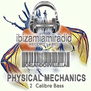 Calibre Bass (Original Mix)