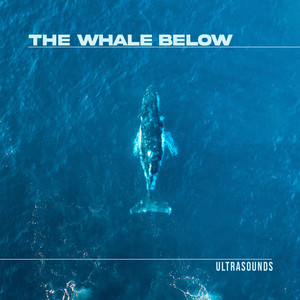 The Whale Below