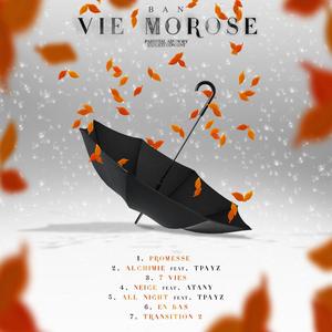 Vie Morose (Explicit)