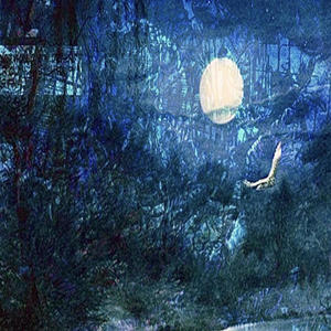 Trip Report (Blade X Winter Villain Remix)