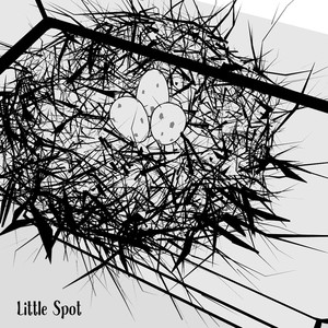 Little Spot
