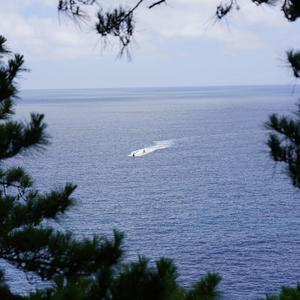 stereo 2113 (Explicit)