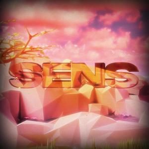Sens (feat. Trippin')
