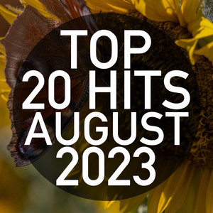 Top 20 Hits August 2023 (Instrumental)