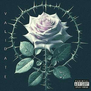 validate (feat. KRU) [Explicit]