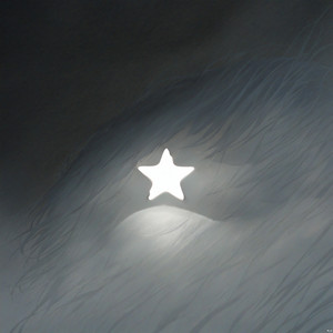 The Guiding Star