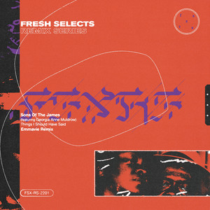 Things I Should Have Said (Emmavie Remix Instrumental)