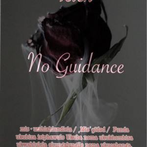 No Guidance