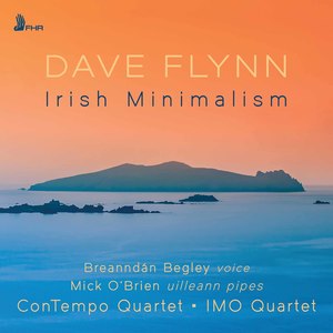 Dave Flynn: Irish Minimalism