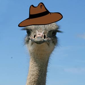 Ruling Ostrich Suite(feat. Willem)