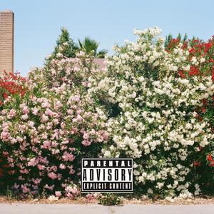 UK V!BES (Explicit)