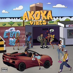 Akoka Vibes