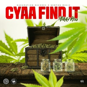 Cyaa Find It